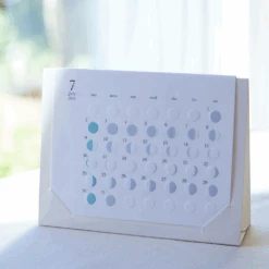 Replug 2026 Mini Moon Desk Calendar -Daily Stationery Hub 11388209 2