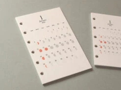 Replug X GRAPHILO - 2026 Moon Phases Calendar Refill -Daily Stationery Hub 12763828 6 jpg