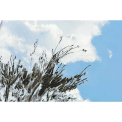 Hobonichi Original Book & Cover 2026 - Kyohei Sakaguchi: Field Sky - A6 12 Hobonichi Original Book & Cover 2026 - Kyohei Sakaguchi: Field Sky - A6 -Daily Stationery Hub extra 02 ad2797f6 560f 4f81 b62b 75334785772b