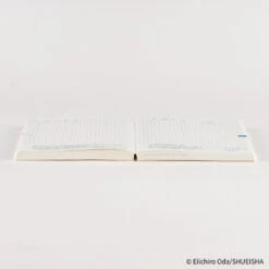 Hobonichi Techo Original 2026 One Piece Edition - A6 - Japanese (Pre-Order Starts 9/30 @ 10PM Eastern Time, Ships Late October) -Daily Stationery Hub prod 15